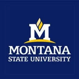 Montana State University Logo