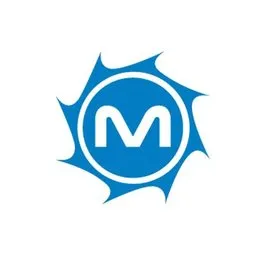 MetroStar Logo